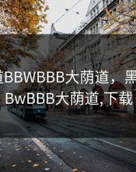 黑人荫道BBWBBB大荫道，黑人荫道BBwBBB大荫道,下载