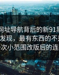 真把91网址导航背后的新91黑料捋顺了你会发现，最有东西的不是表面，而是一次小范围改版后的连锁反应