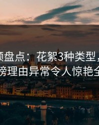 樱桃视频盘点：花絮3种类型，当事人上榜理由异常令人惊艳全场