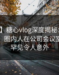 【速报】糖心vlog深度揭秘：秘闻风波背后，圈内人在公司会议室的角色罕见令人意外