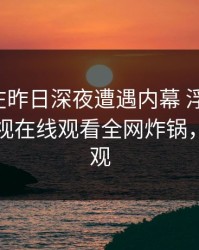 神秘人在昨日深夜遭遇内幕 浮想联翩，蘑菇影视在线观看全网炸锅，详情围观