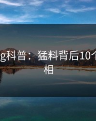 糖心vlog科普：猛料背后10个细节真相