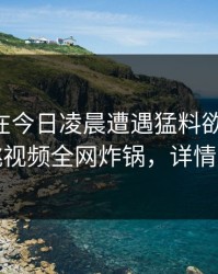 当事人在今日凌晨遭遇猛料欲言又止,樱桃视频全网炸锅,详情探秘