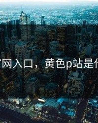 黄p站官网入口，黄色p站是什么意思