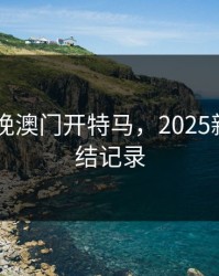 2024今晚澳门开特马，2025新澳开奖结记录