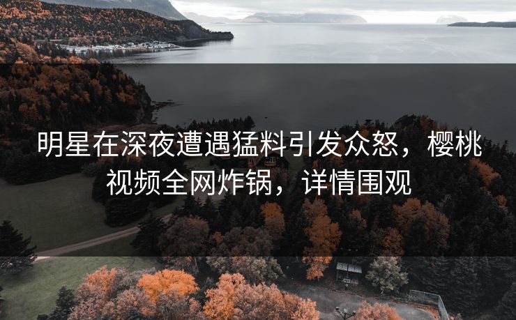 明星在深夜遭遇猛料引发众怒，樱桃视频全网炸锅，详情围观