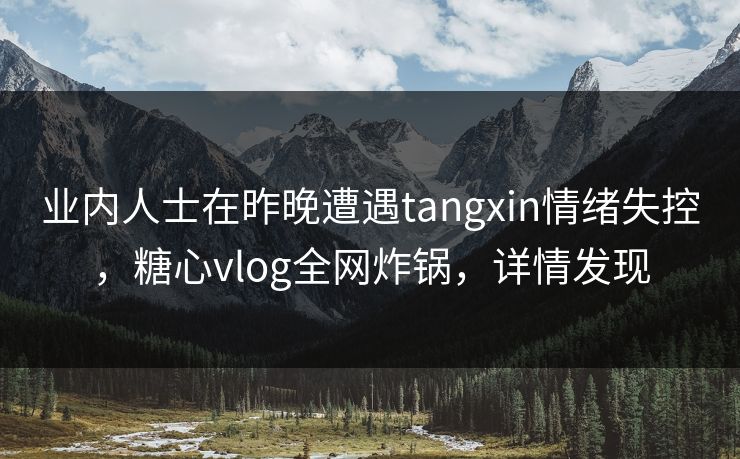业内人士在昨晚遭遇tangxin情绪失控，糖心vlog全网炸锅，详情发现